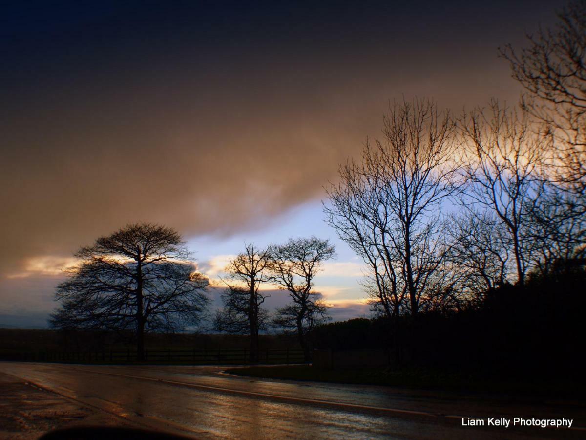 Lakefield Gallery Keel  Dış mekan fotoğraf